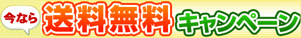 全国一律送料無料!
